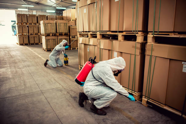 Best Pest Control Near Me in El Monte, CA