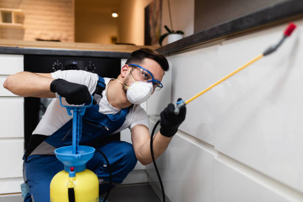 Trusted El Monte, CA Pest Control Experts