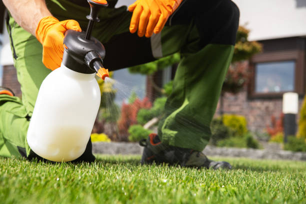 Best Mosquito Control Services  in El Monte, CA