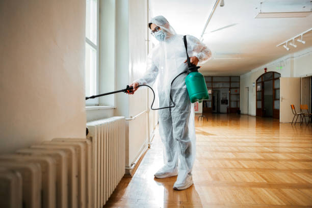 Best Wasp Removal Services  in El Monte, CA